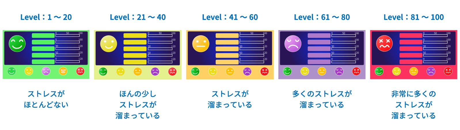 測定結果の見方